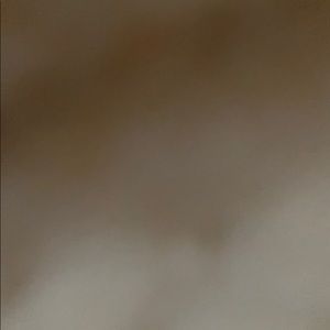 Meet your Posher, Dina